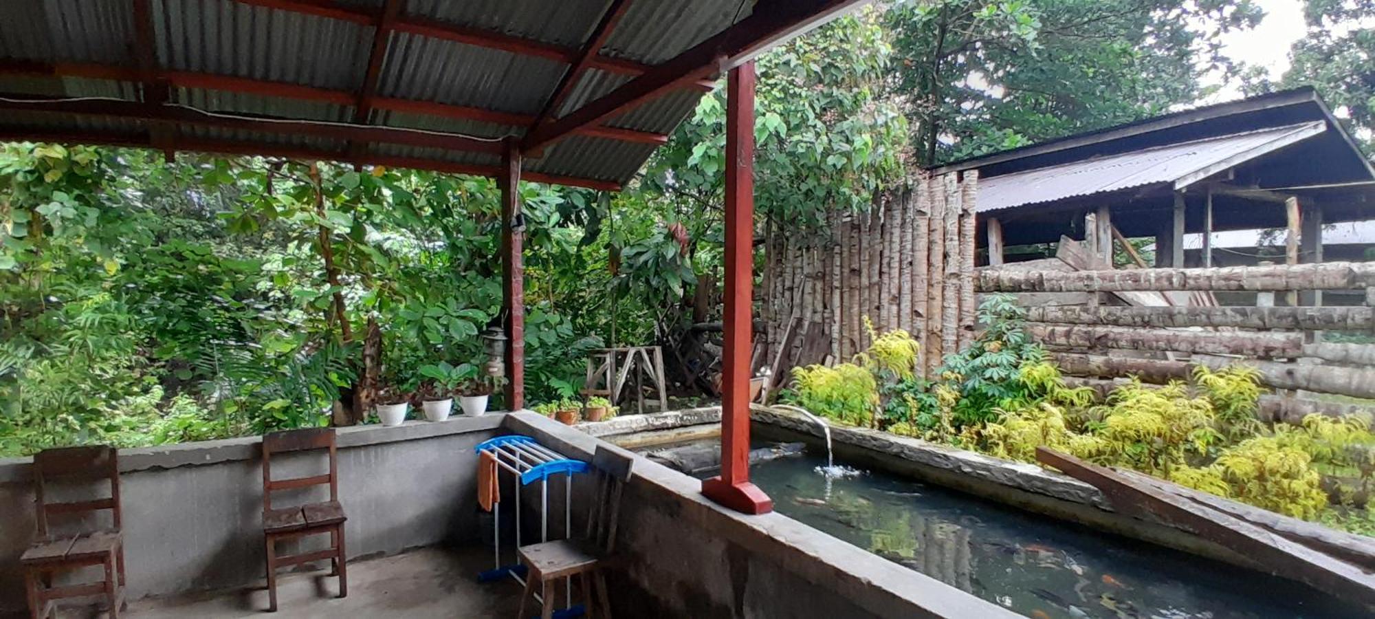 Renny'S Tangkoko Safety Stop Bitung Exteriör bild
